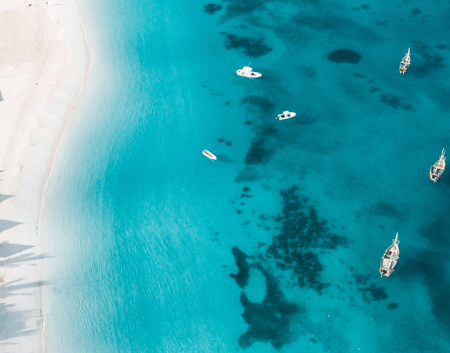 Guia de Viagem Completo Zanzibar