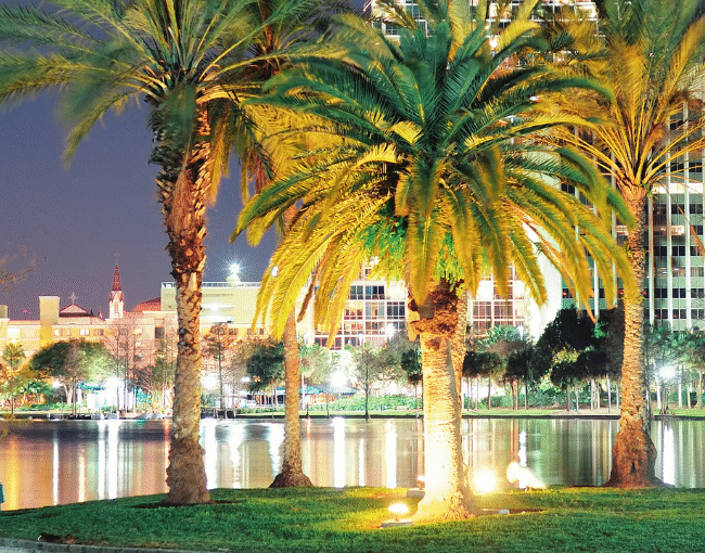 Guia de Viagens Completo Orlando