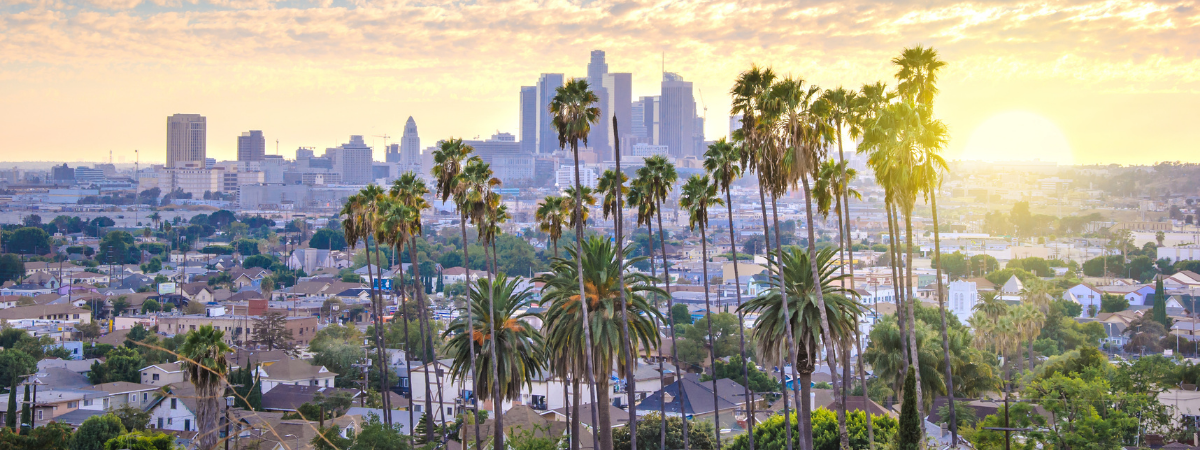 Passagem Aérea para Los Angeles